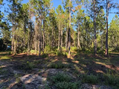 Other - 8961 Freedom Rd, Mims, FL 32754 photo 10 of 20