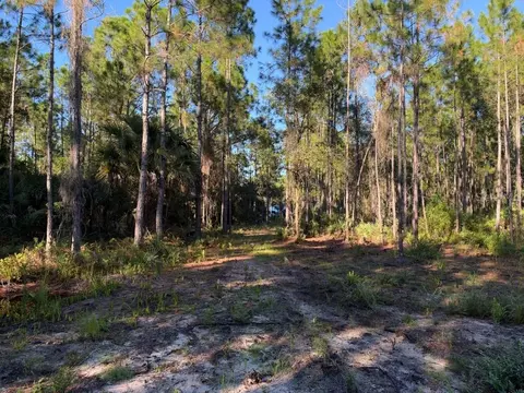 Other - 8961 Freedom Rd, Mims, FL 32754 photo 11 of 20