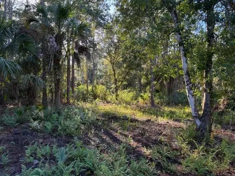 Exterior - 8961 Freedom Rd, Mims, FL 32754 photo 8 of 12