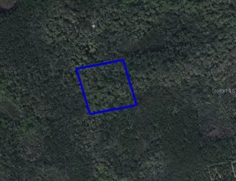 095 Pine Needle Rd, Mims, FL 32754 photo 2