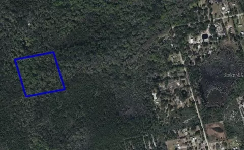 095 Pine Needle Rd, Mims, FL 32754 photo 3