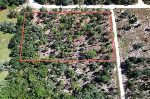 NE 16th Place, Williston, FL 32696 photo 7