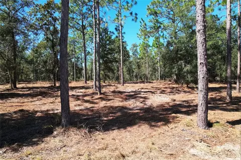 NE 16th Place, Williston, FL 32696 photo 3