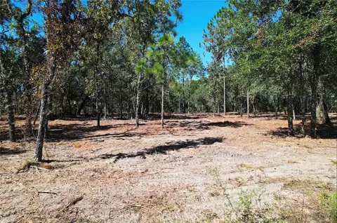 NE 16th Place, Williston, FL 32696 photo 10