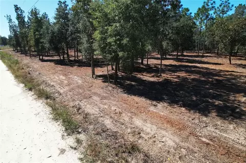 NE 16th Place, Williston, FL 32696 photo 12