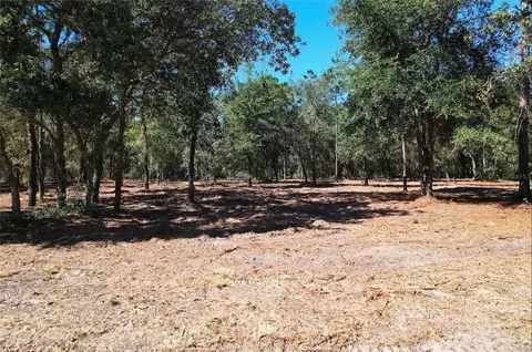 NE 16th Place, Williston, FL 32696 photo 11