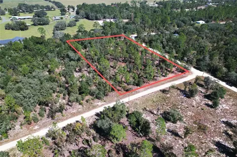 NE 16th Place, Williston, FL 32696 photo 8