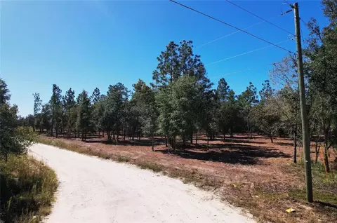 NE 16th Place, Williston, FL 32696 photo 13