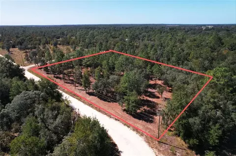 NE 16th Place, Williston, FL 32696 photo 6