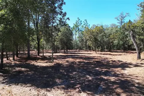 NE 16th Place, Williston, FL 32696 photo 5