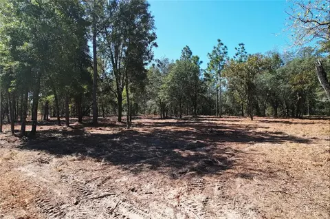 NE 16th Place, Williston, FL 32696 photo 4