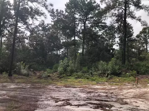 Lot 228 Park Forest Boulevard #228, Mount Dora, FL 32757 photo 3