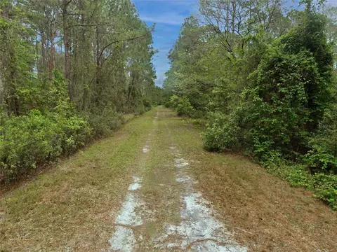 210 SE 1st St, Georgetown, FL 32139 photo 3