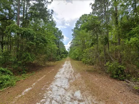 210 SE 1st St, Georgetown, FL 32139 photo 4