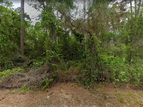 210 SE 1st St, Georgetown, FL 32139 photo 5