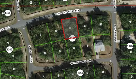 1402 W G Martinelli Blvd, Citrus Springs, FL 34434