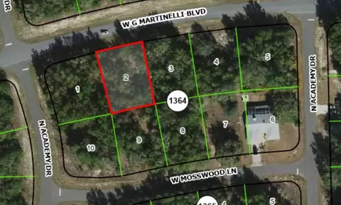 1424 W G Martinelli Blvd, Citrus Springs, FL 34434