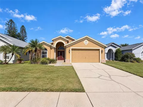 22827 Richardson Ln, Land O Lakes, FL 34639