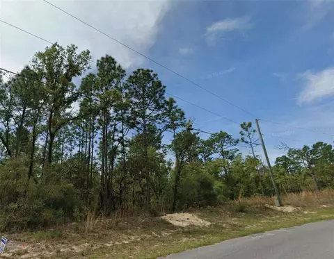 6677 N Waterman Dr, Citrus Springs, FL 34434