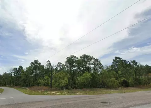 6673 N Waterman Dr, Citrus Springs, FL 34434
