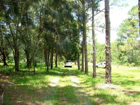 12069 NE 26th Ave, Okeechobee, FL 34972 photo 1