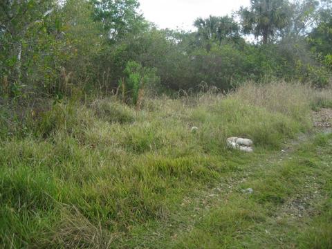 7758 NW 84th Ct, Okeechobee, FL 34972 photo 1