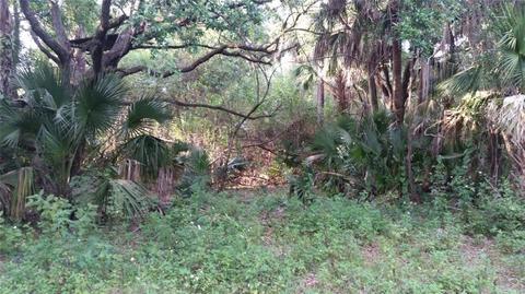 3204 NW 35th Ave, Okeechobee, FL 34972 photo 1