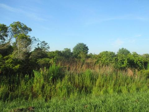 16805 NW 274th St, Okeechobee, FL 34972 photo 1