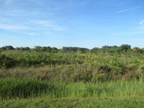20063 NW 264th St, Okeechobee, FL 34972 photo 1