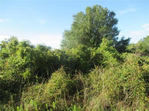 20068 NW 266th St, Okeechobee, FL 34972 photo 1
