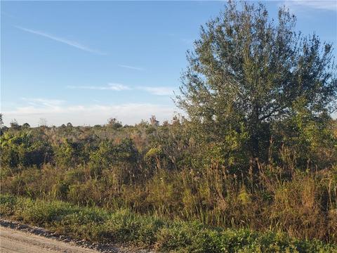 16157 NW 256th St, Okeechobee, FL 34972 photo 1