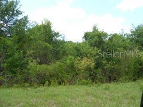 19829 NW 292nd St, Okeechobee, FL 34972 photo 1