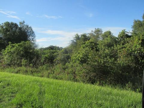 21715 NW 264th St, Okeechobee, FL 34972 photo 1