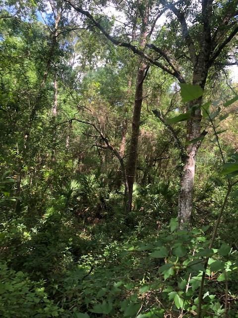 13550 NE 18th Ave, Okeechobee, FL 34972 photo 1