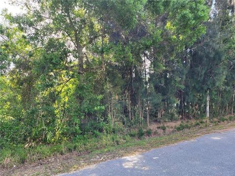 3382 NW 20th Ave, Okeechobee, FL 34972 photo 1