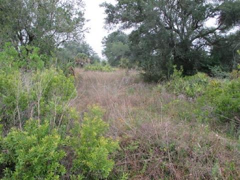 16011 NW 314th St, Okeechobee, FL 34972 photo 1