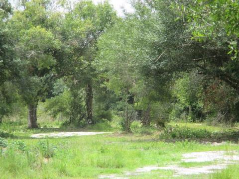 17334 NW 264th St, Okeechobee, FL 34972 photo 1