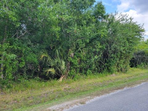3496 NW 23rd Ave, Okeechobee, FL 34972 photo 1