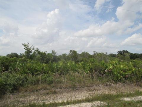17543 NW 268th St, Okeechobee, FL 34972 photo 1