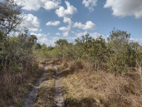 15946 NW 300th St, Okeechobee, FL 34972 photo 1