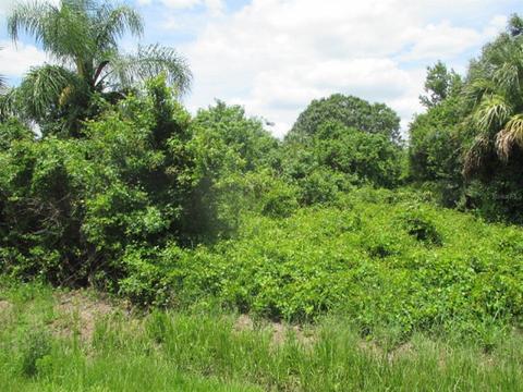3779 NW 35th Ave, Okeechobee, FL 34972 photo 1