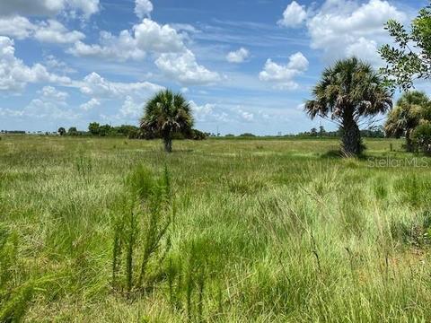 270 Mose Grade Rd, Okeechobee, FL 34974 photo 1