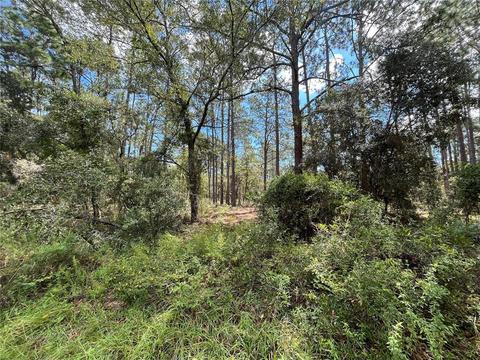 Tbd NW Ridgewood Road, Dunnellon, FL 34431