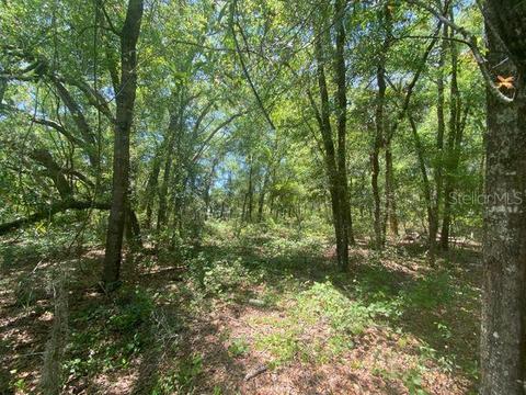 259 Putnam Loop Rd, Melrose, FL 32666 photo 1