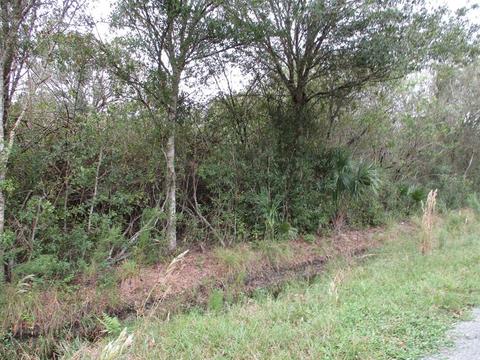 2480 NW 53rd Ter, Okeechobee, FL 34972 photo 1