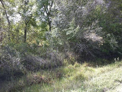21708 NW 256th St, Okeechobee, FL 34972 photo 1