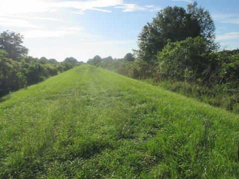 17218 NW 270th St, Okeechobee, FL 34972