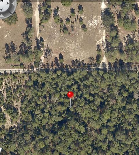 NE 247th Lane, Fort Mc Coy, FL 32134