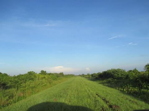 21487 NW 282nd St, Okeechobee, FL 34972