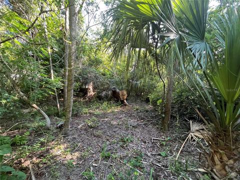 421 Tomoka Ave, Ormond Beach, FL 32174
